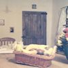 Natale 2002