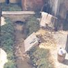 Natale 2004