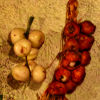 Natale 2023, S.Lucia di Piave